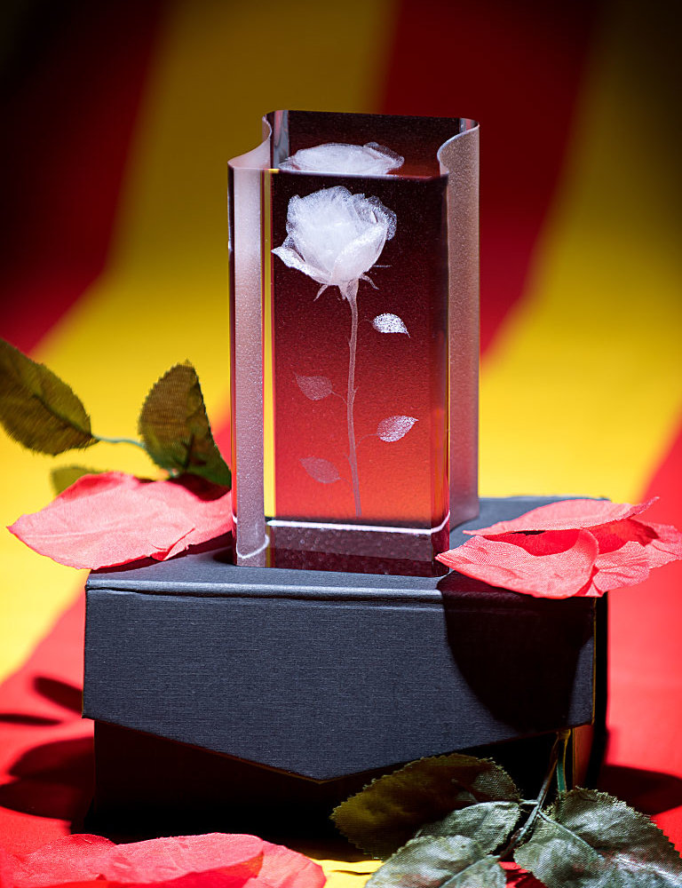 rosa de Sant Jordi Oliveras Cassà