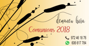 cartell explicatiu de les comunions 2018